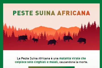 Peste Suina Africana
