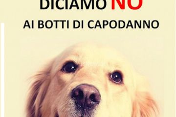 Diciamo NO ai Botti di Capodanno