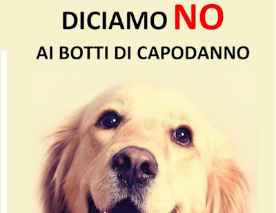 Diciamo NO ai Botti di Capodanno