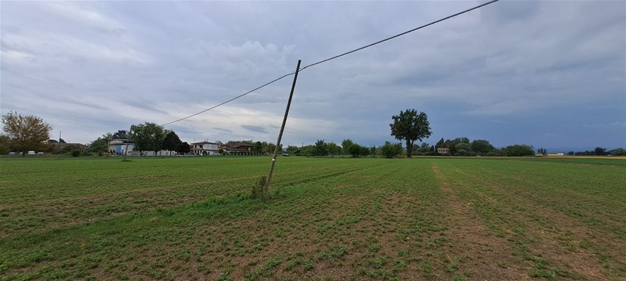 palo tim pericolante in mezzo ad un campo